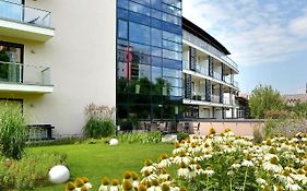 Imola Hotel Platan
